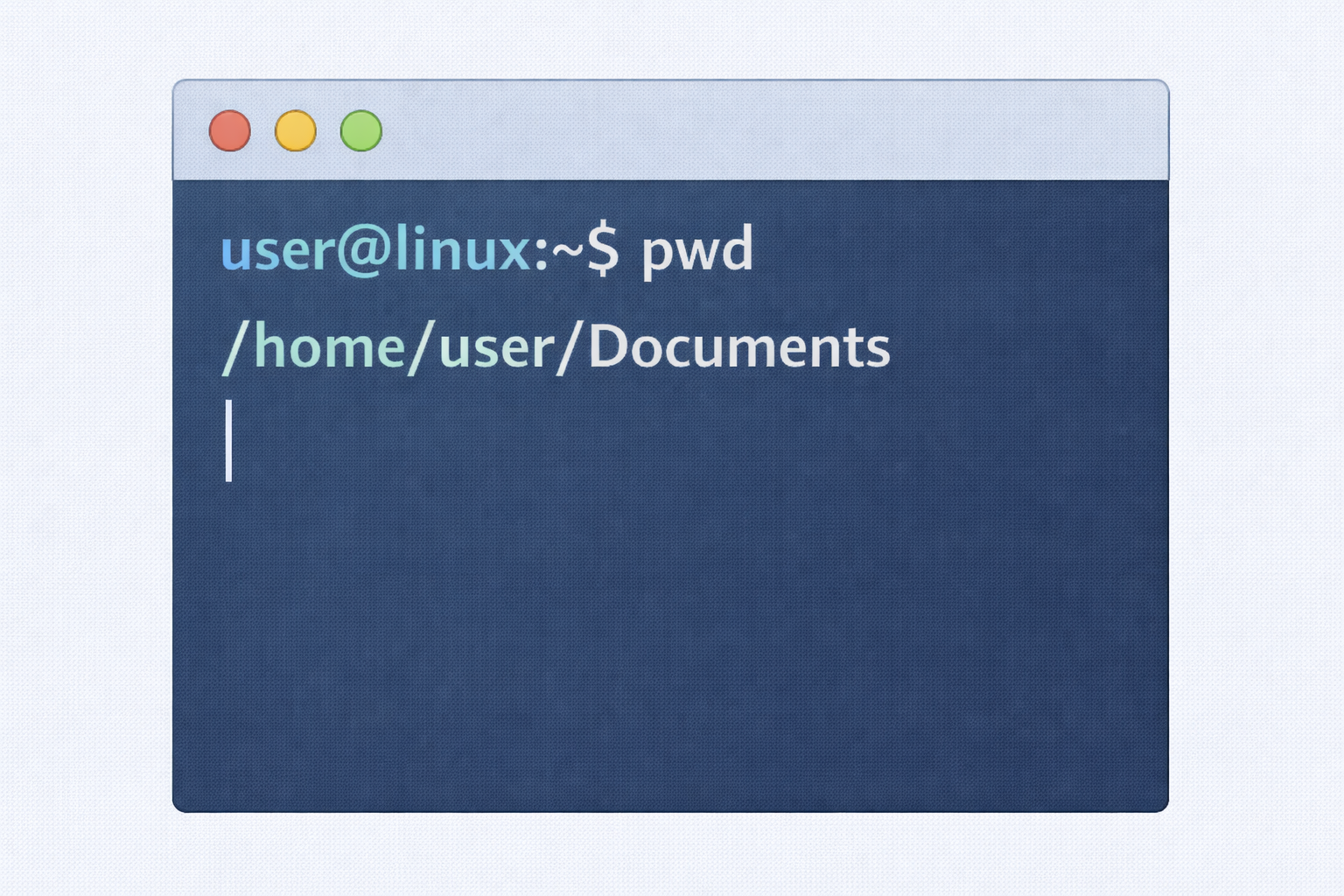 The Root directory (/) in Linux file hierarchy