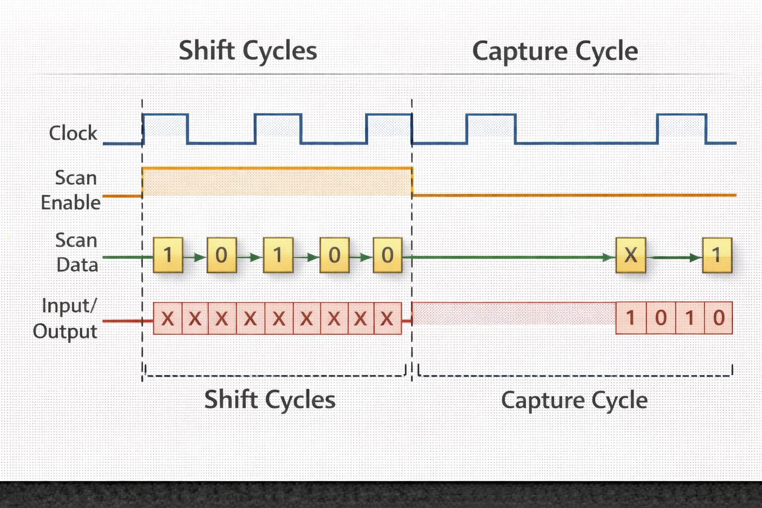 Scan Operation Cycles: Shift Cycle vs Capture Cycle Timing Diagram